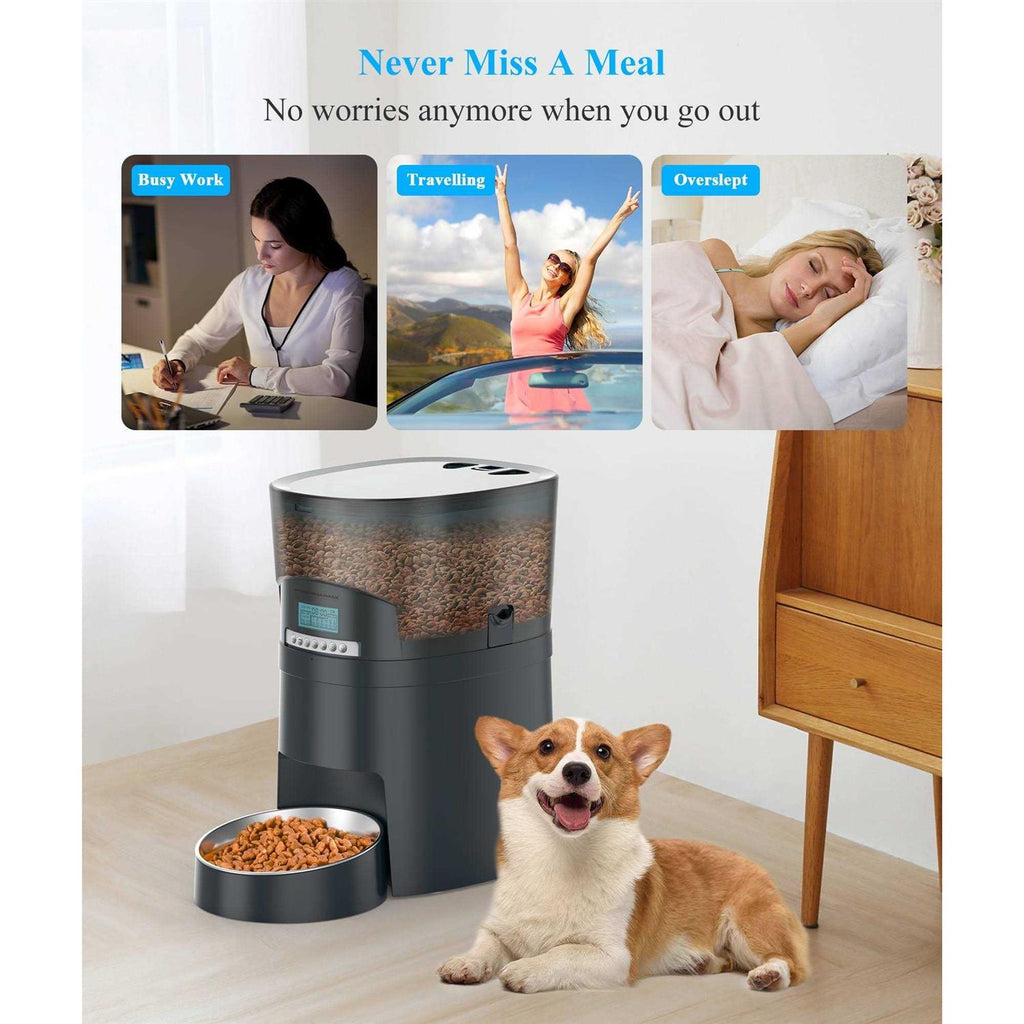 Automatic Cat Feeder with 6 Meal Portion Control I9588