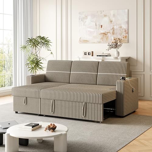 Convertible Sectional Sleeper Sofa with Storage Chaise and USB Port J3752