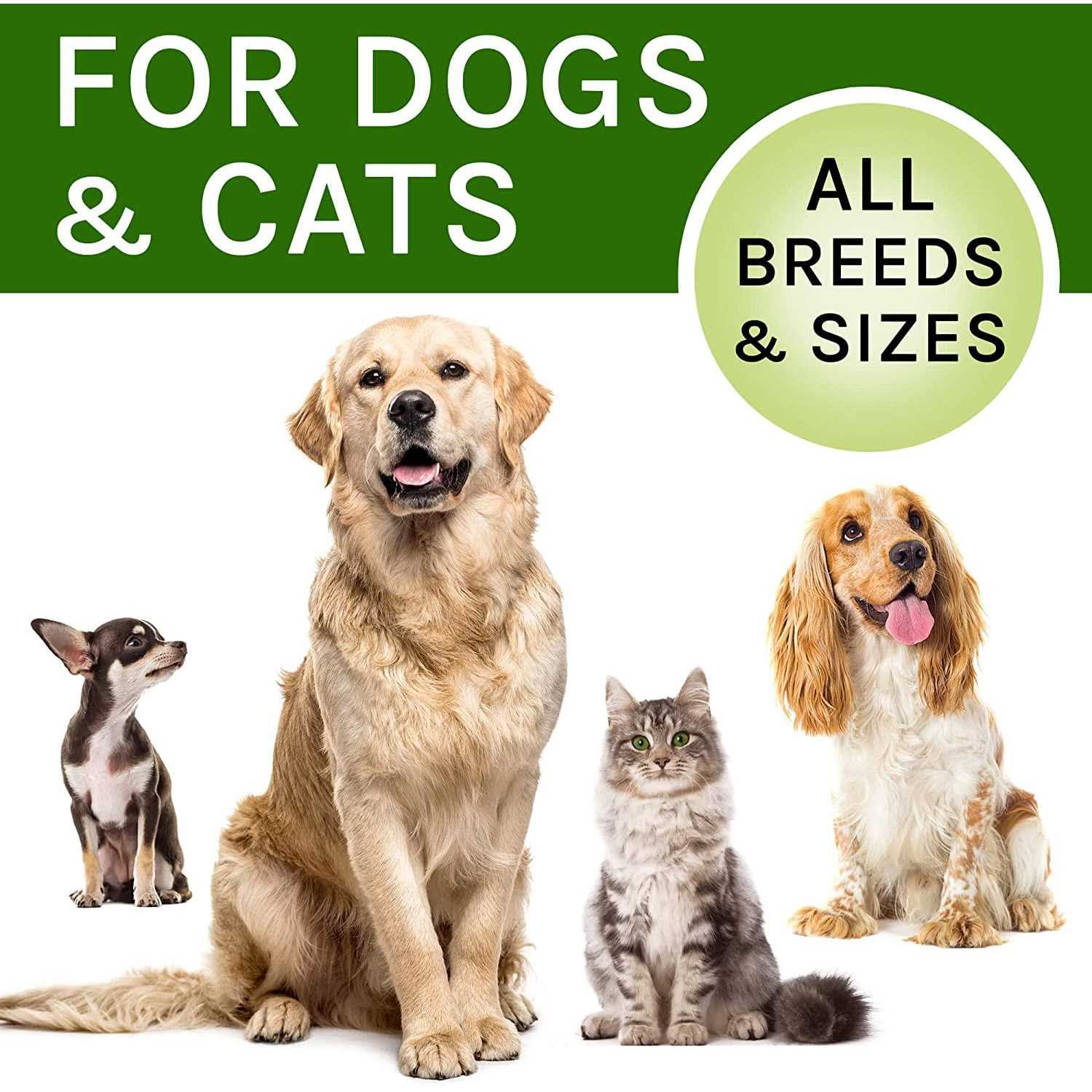 Kennel Cough Herbal Drops for Dogs & Cats Cough Relief B76591