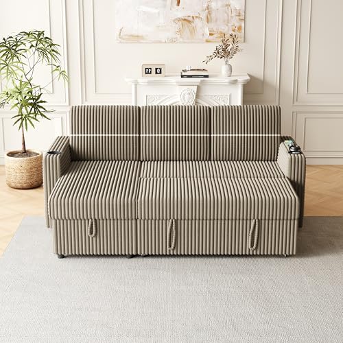 Convertible Sectional Sleeper Sofa with Storage Chaise and USB Port J3752