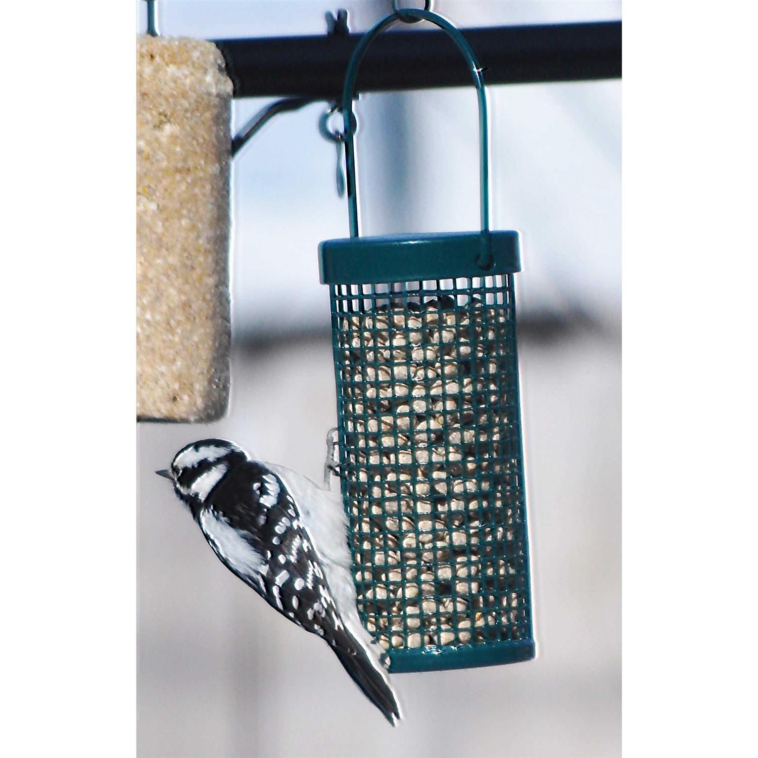 Peanut No-melt Suet Dough Nuggets for Birds G694443
