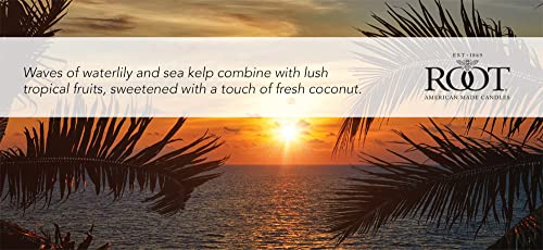 Citron & Bergamot Beeswax Blend Candle, 4 oz G354749