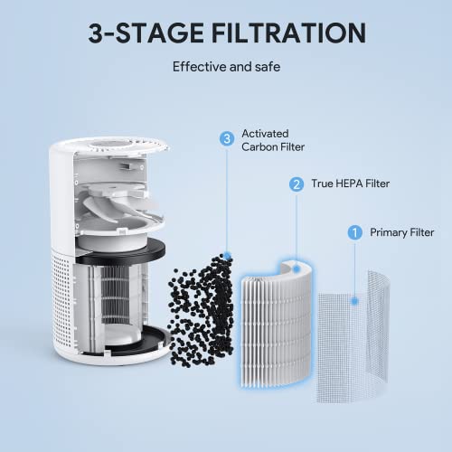 H13 True HEPA Air Purifier for Bedroom with Night Light, 2 Pack T103