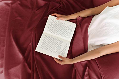 400 Thread Count 100% Cotton 4 Piece Queen Size Bedding Sheet Set - Breathable Cooling Soft Wrinkle Free Light Grey J252497