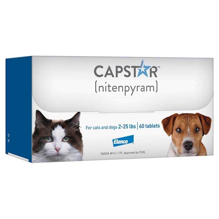 Flea Tablets for Dogs & Cats B173905