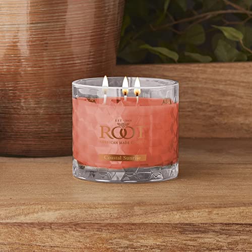 Citron & Bergamot Beeswax Blend Candle, 4 oz G354749