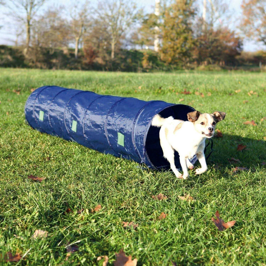 Agility Tunnel for Pets S548