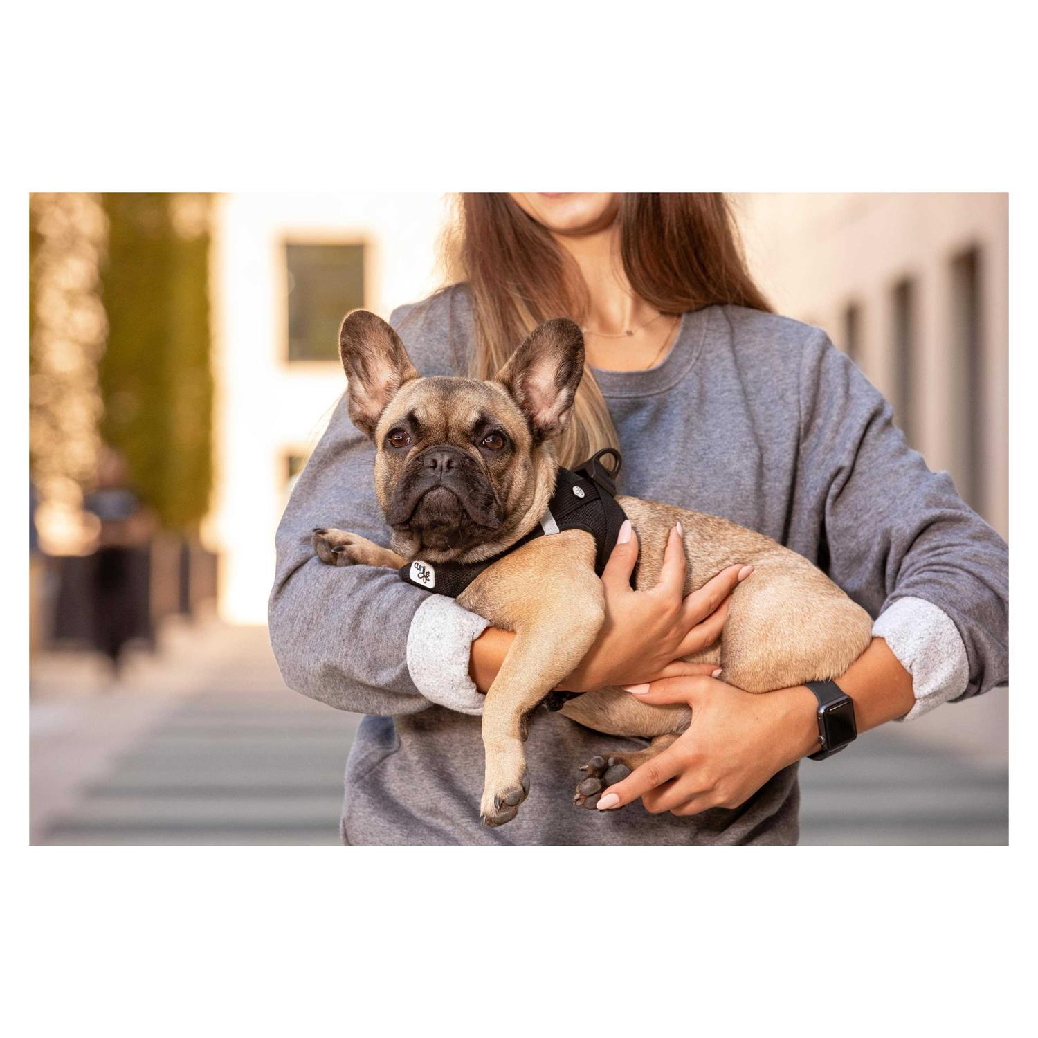 Air-Mesh Vest Dog Harness I843642