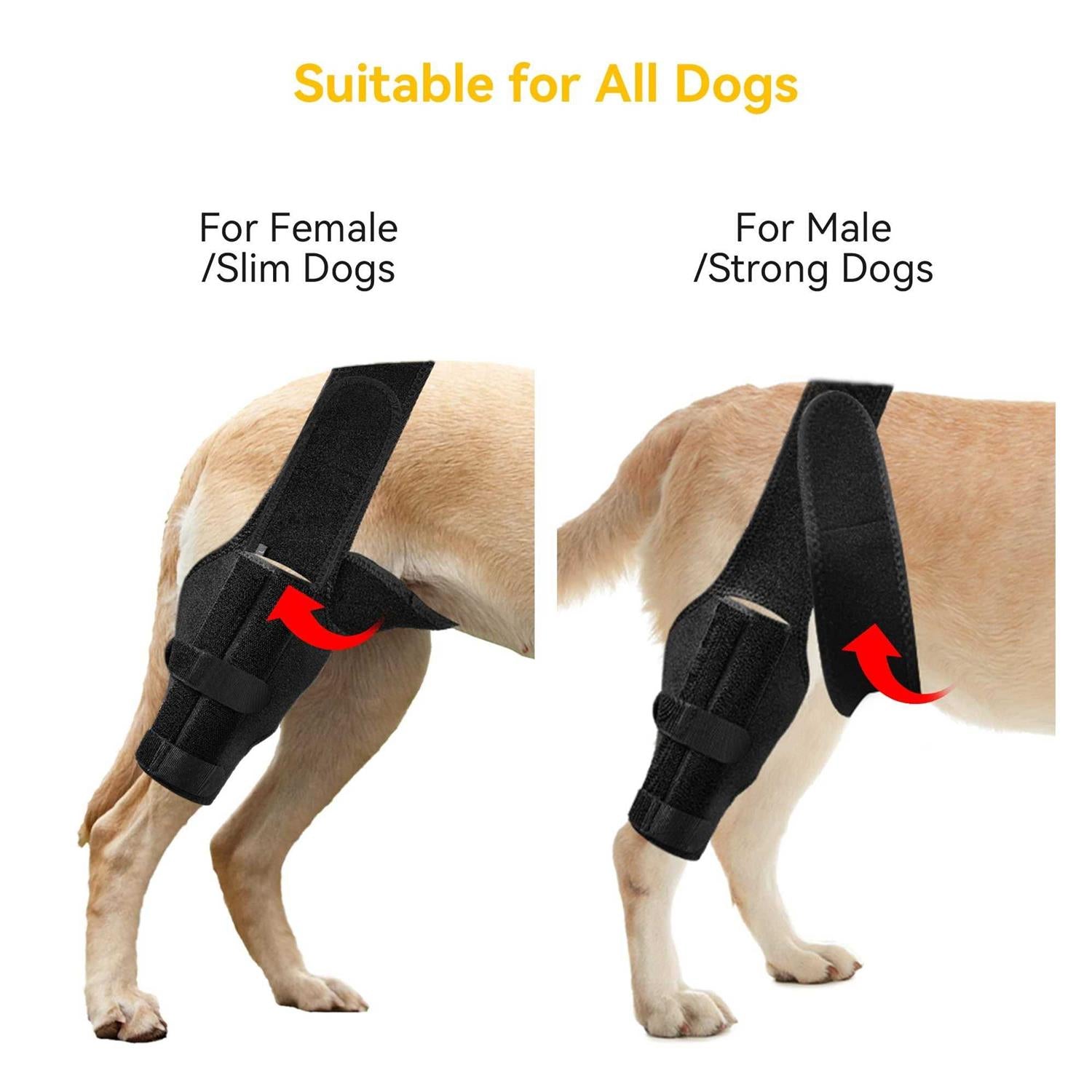 Dog Knee Brace for ACL Injury and Joint Support B3148