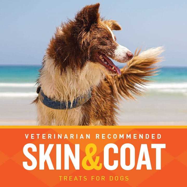 Skin & Coat Soft Chews for Dogs Z584