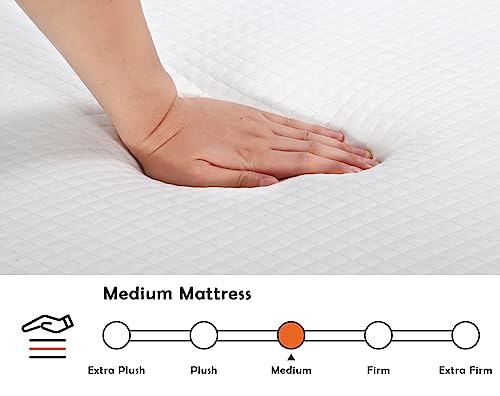 Gel Memory Foam Queen Mattress, 5 Inch Cooling Mattress Pad, Bed-in-a-Box A437343
