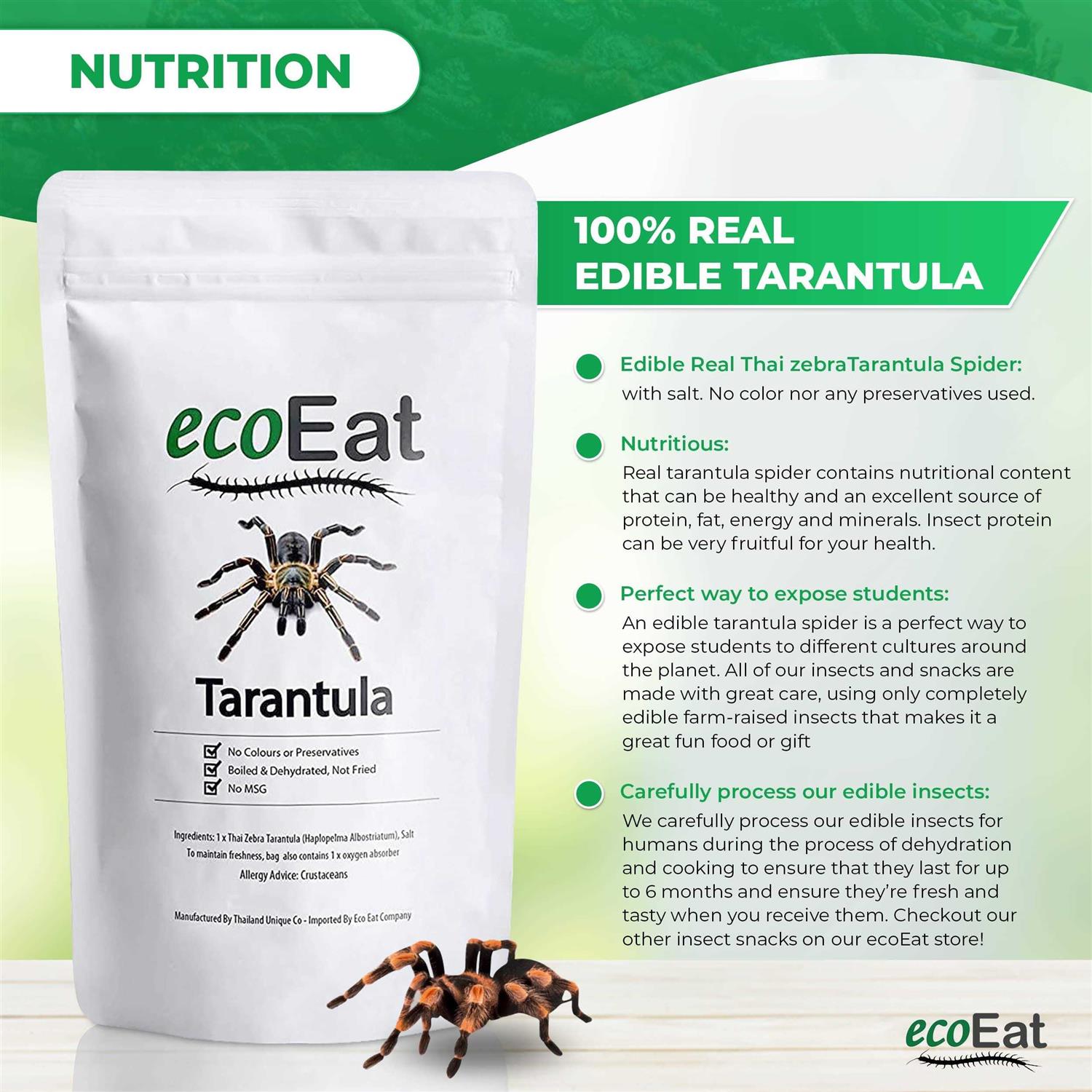 Edible Dehydrated Zebra Tarantula Insect for Pets I6251