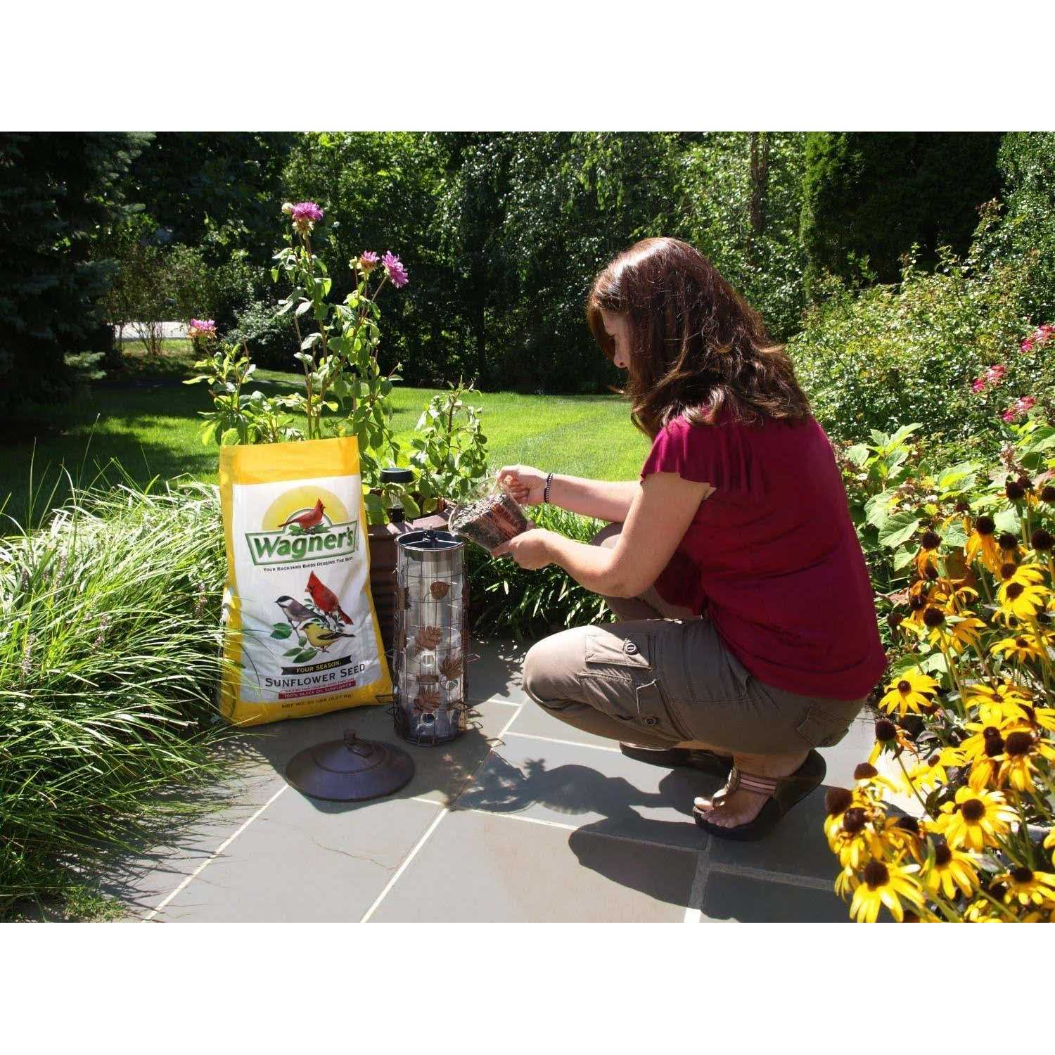 Black Oil Sunflower Seed for Pets J96618
