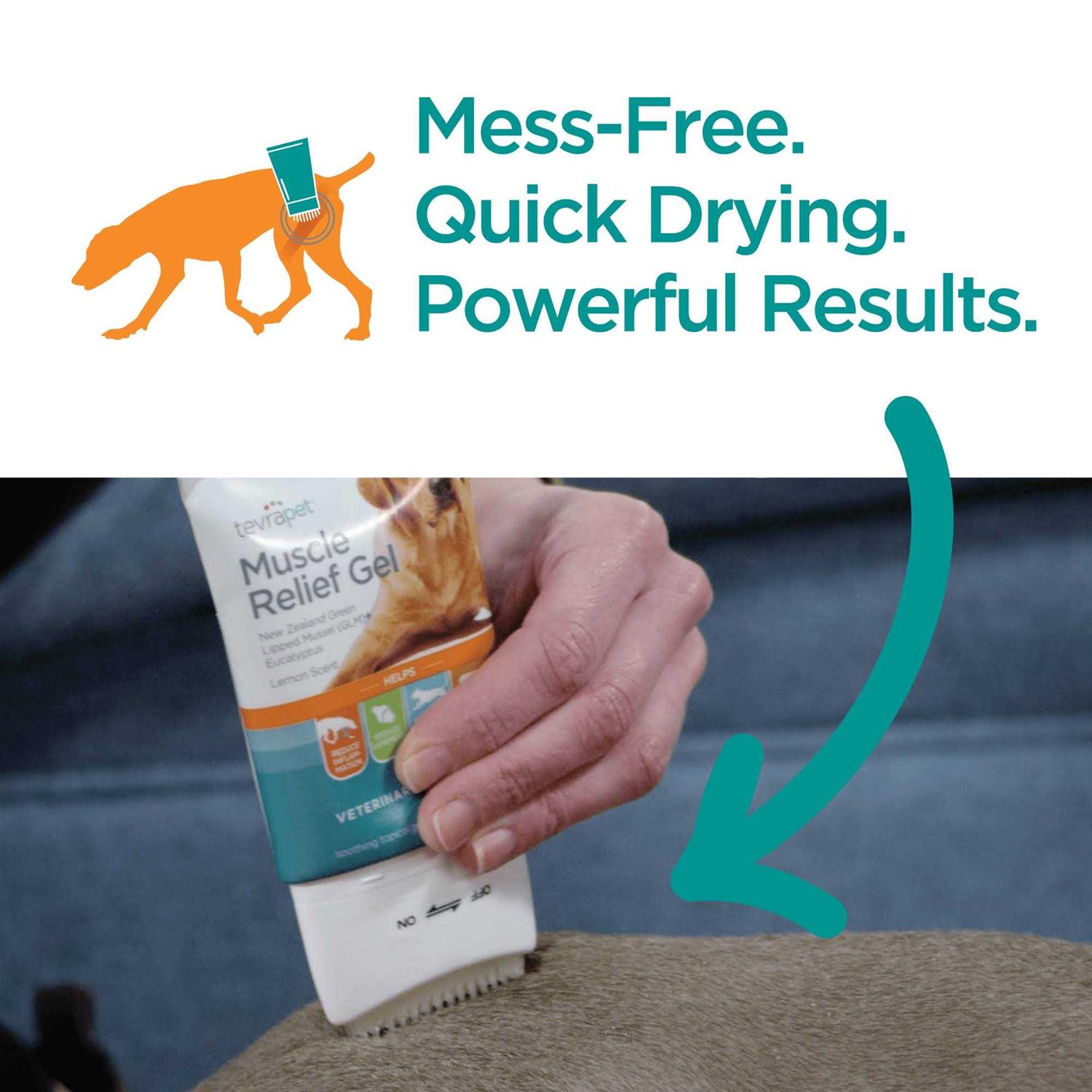 Muscle Relief for Dogs 3 oz O123995
