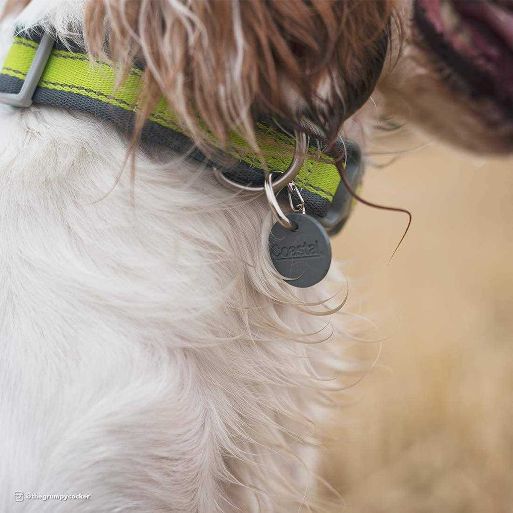 Dog ID Clip I791