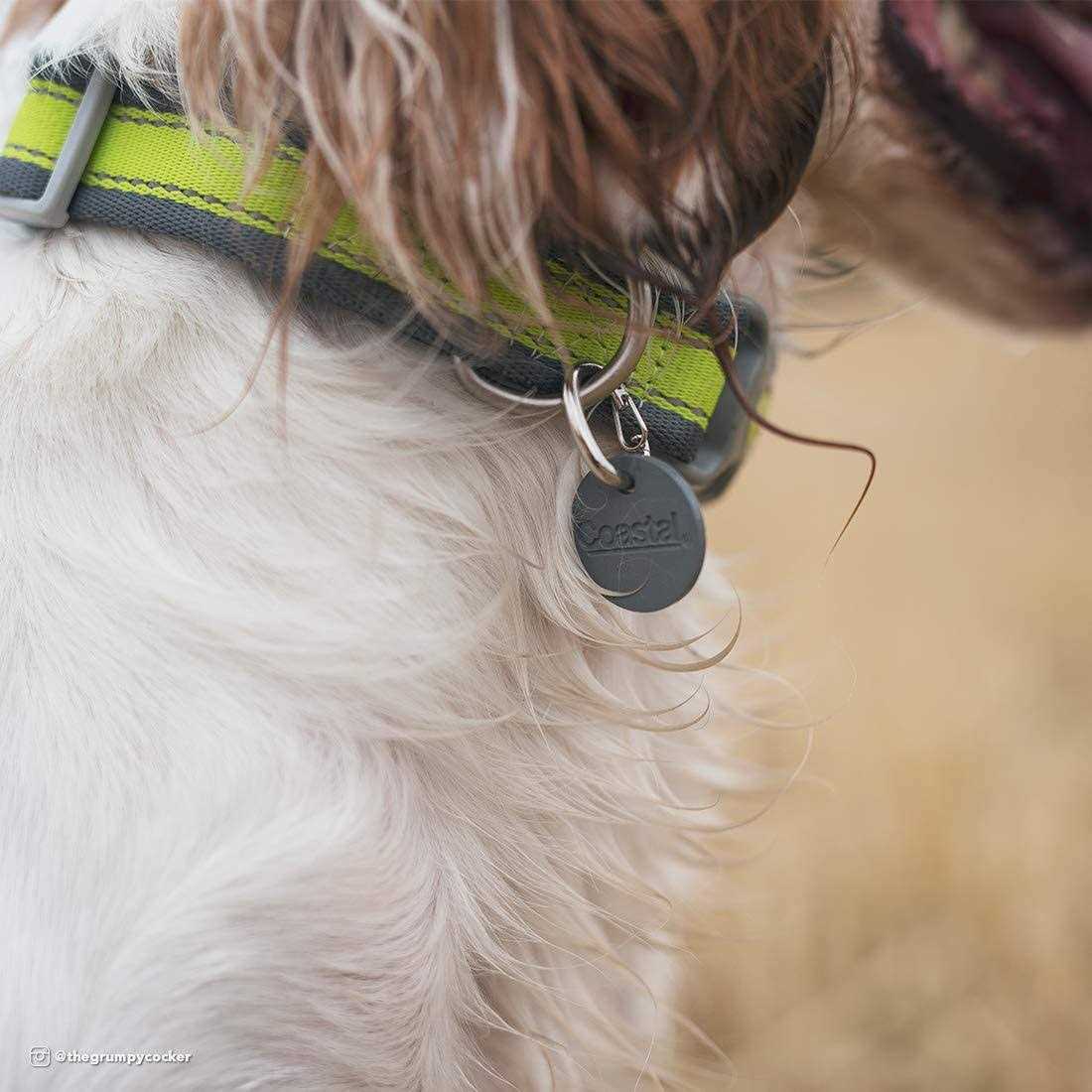 Dog ID Clip I791