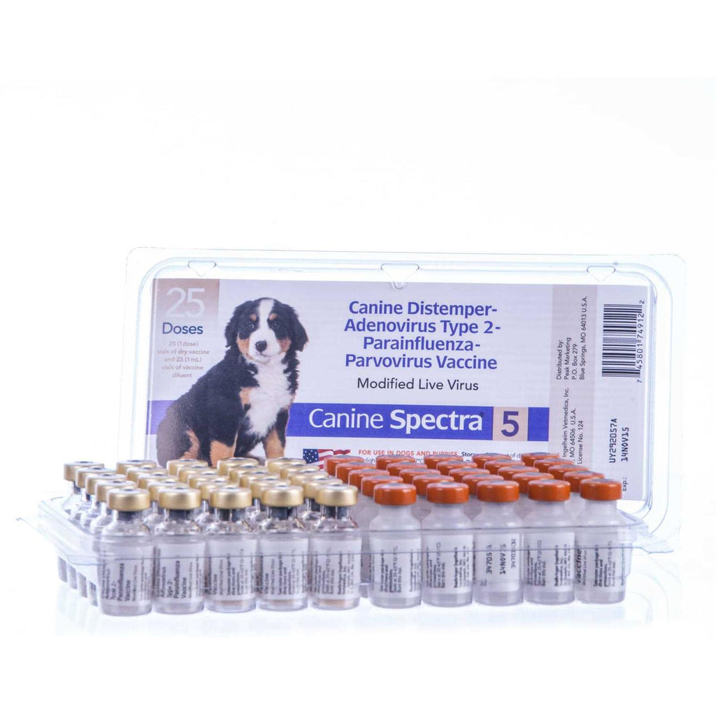 Dog Vaccine C611