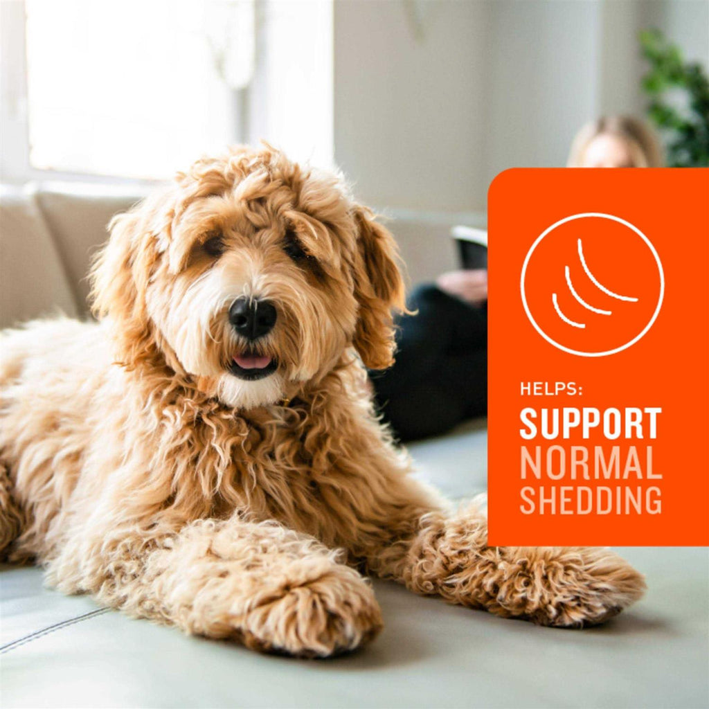 Skin & Coat Soft Chews for Dogs Z584
