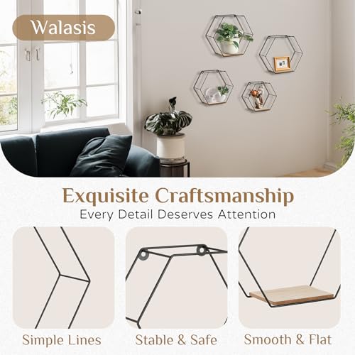 Hexagon Shelves Black Metal Wall Mount Set of 4 C784