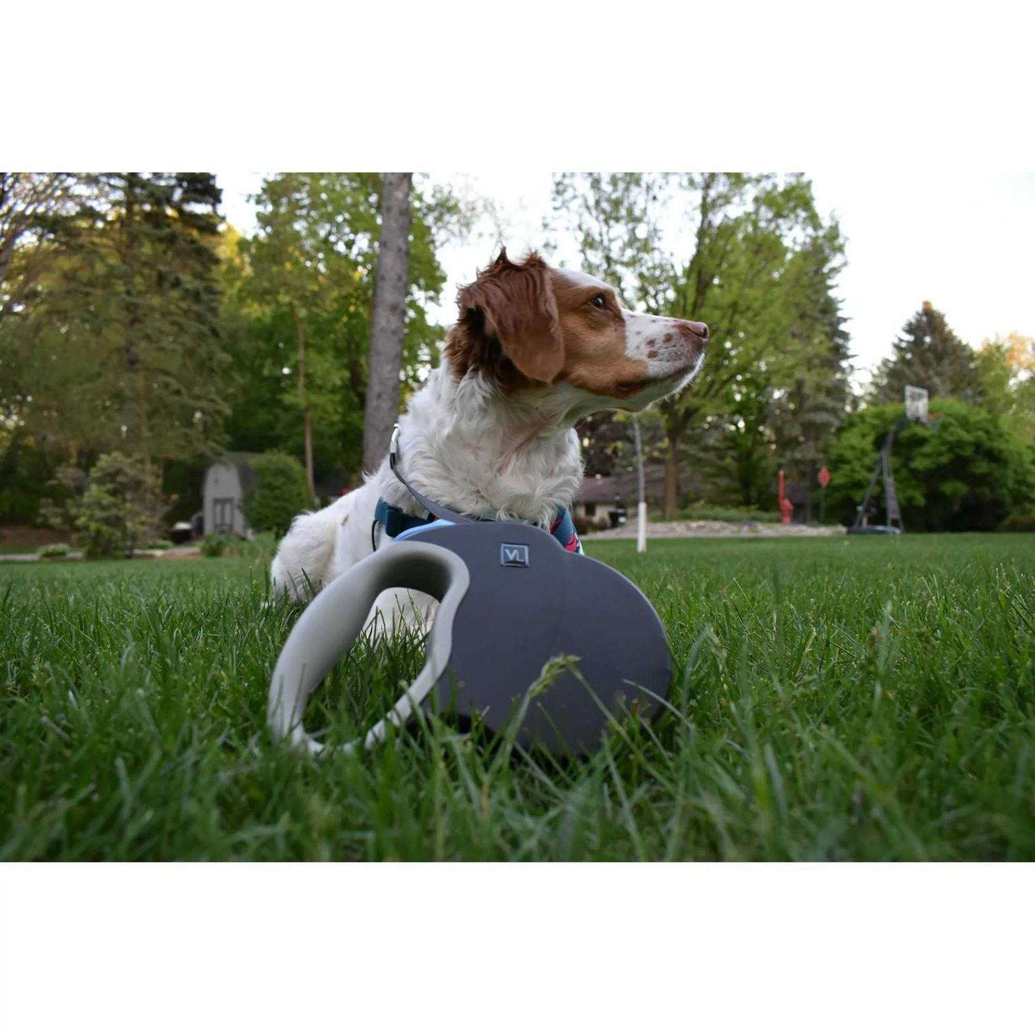 Reflective Retractable Tape Leash W2687