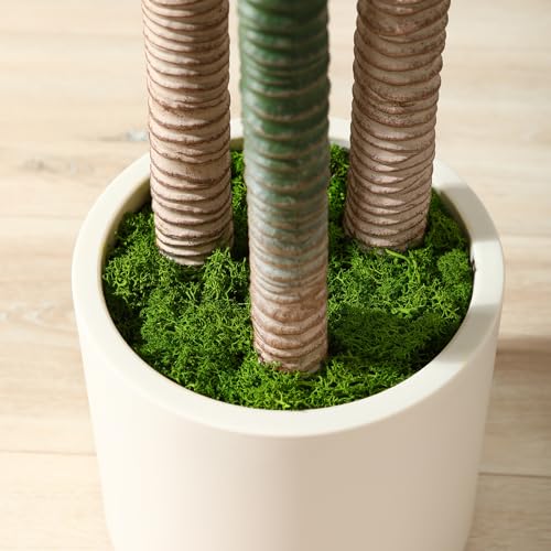Artificial Dracaena Tree 5ft with White Planter, Indoor Floor Plant X899