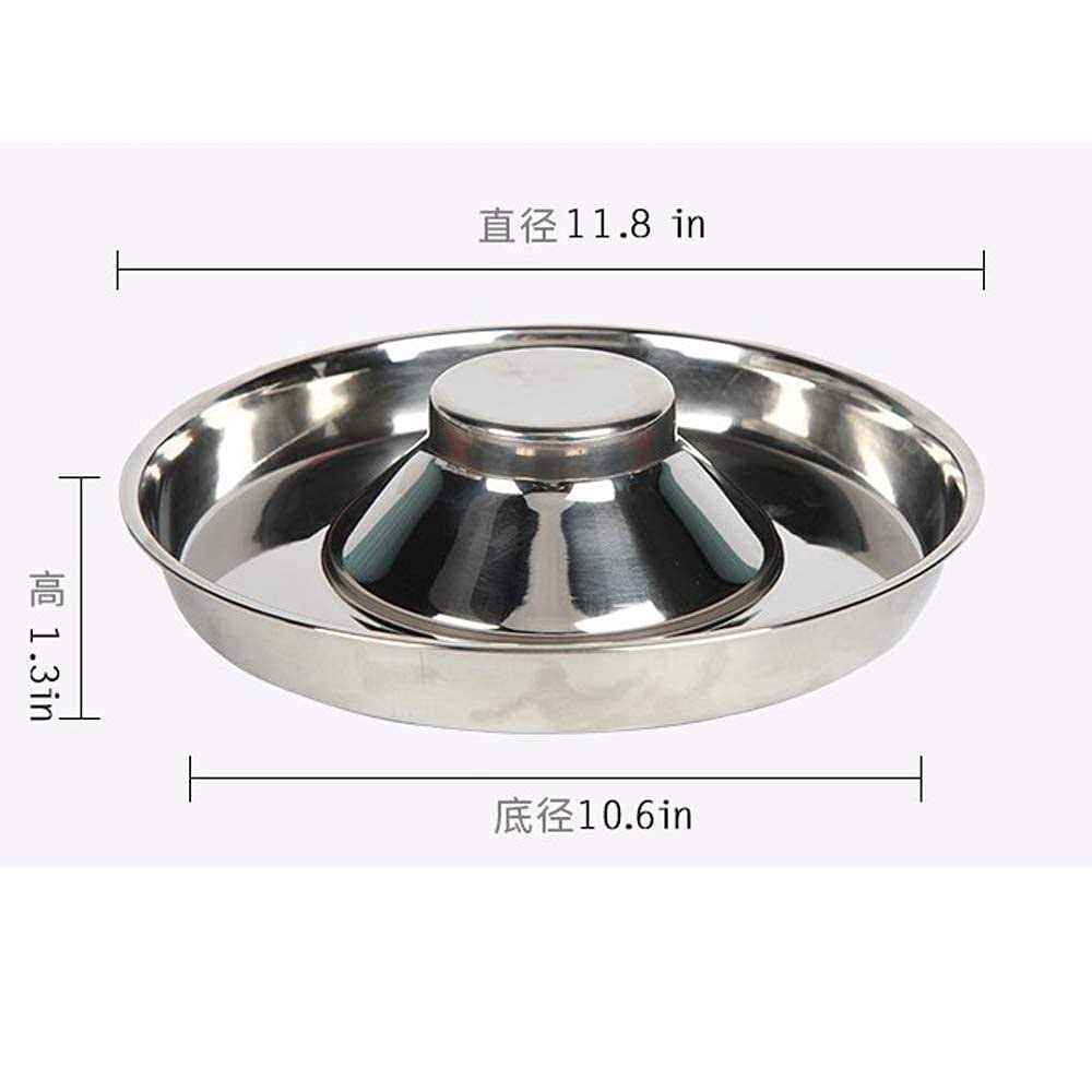 Puppy Bowls Weaning Feeder Dish for Dogs A632078