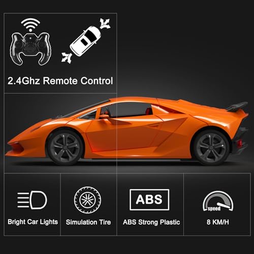 Remote Control Car, 1/24 Scale RC Sport Racing Toy Car for Boys Girls Brown E3956
