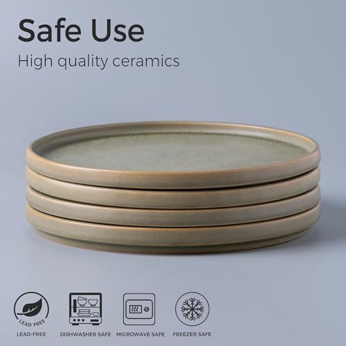 Stoneware Dinner Plates Set of 4, 10.25 Inch, Matte Glaze, Microwave and Dishwasher Safe C320815
