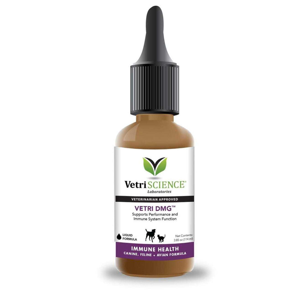 Immune Support Supplement for Small Dogs M43789