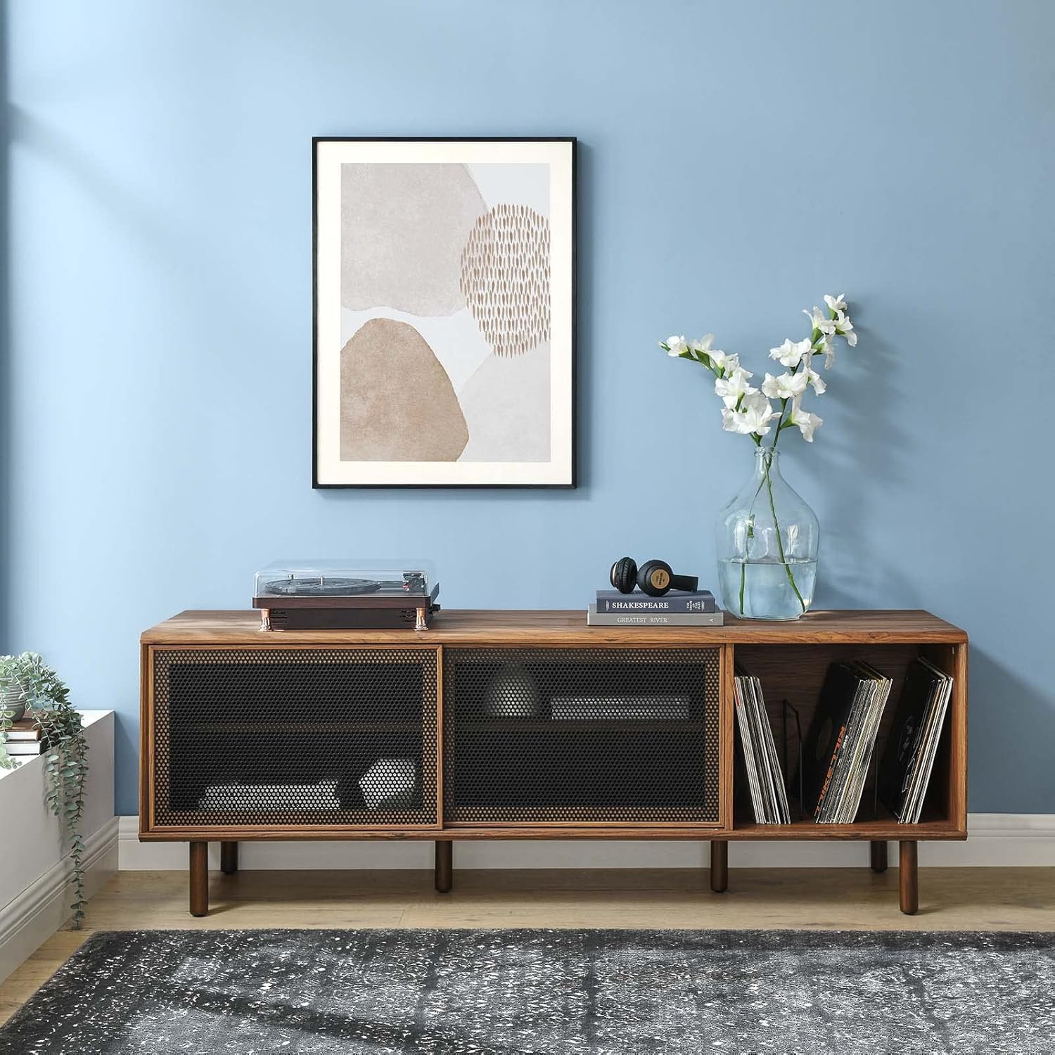 TV and Record Stand for TVs up to 65", Walnut D279404