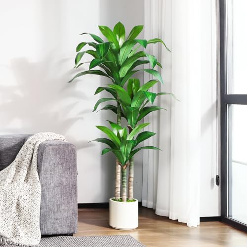 Artificial Dracaena Tree 5ft with White Planter, Indoor Floor Plant X899