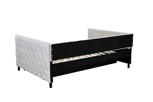Velvet Upholstered Twin Daybed with Trundle, Beige Y9221