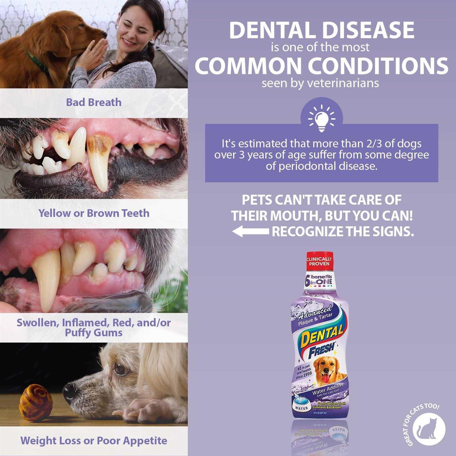 Dental Water Additive for Dogs G66157