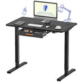 FLEXISPOT Standing Desk with Drawer Electric Sit Stand Desk with 48 x 24 Inches Whole-Piece Desktop Ergonomic Memory Controller Adjustable Height Desk(White Frame + 48" Bamboo Texture Desktop)