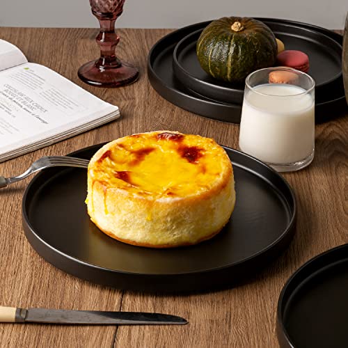 Ceramic Dinner Plates Set of 6, 10 Inch Matte Stoneware, Microwave and Dishwasher Safe L308327