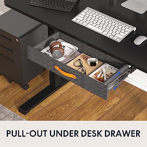 Standing Desk with Drawer Electric Sit Stand Desk, 48 x 24 Inches Desktop, Adjustable Height Q557747