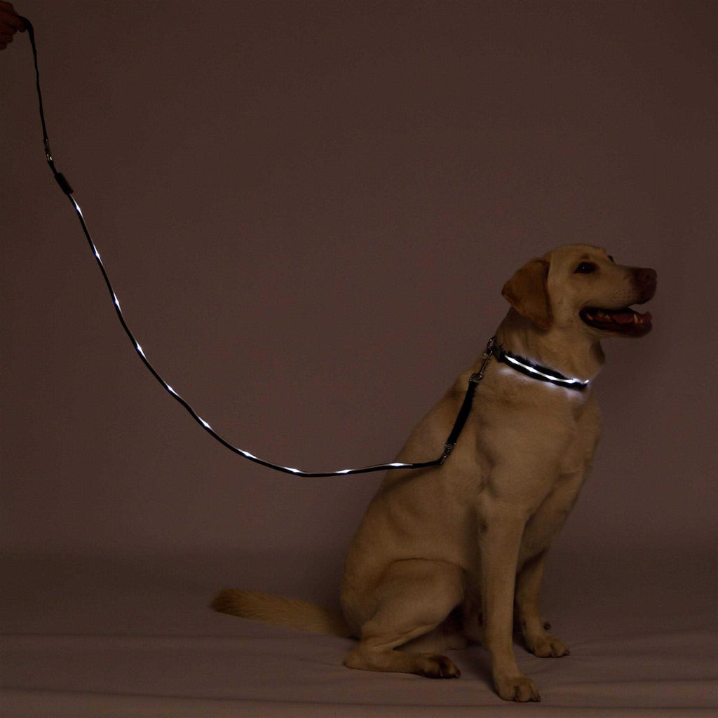 LED Dog Leash USB Rechargeable Flashing Light A744