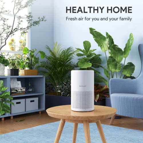 H13 True HEPA Air Purifier for Bedroom with Night Light, 2 Pack T103