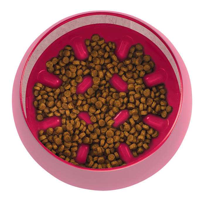Rocking Slow Feeder Dog Bowl M9418
