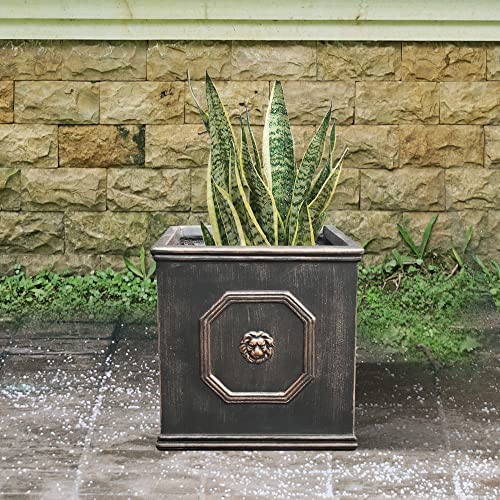 Square Lion Head Concrete Planter with Drainage Hole, 10.2" Antique Gray F955