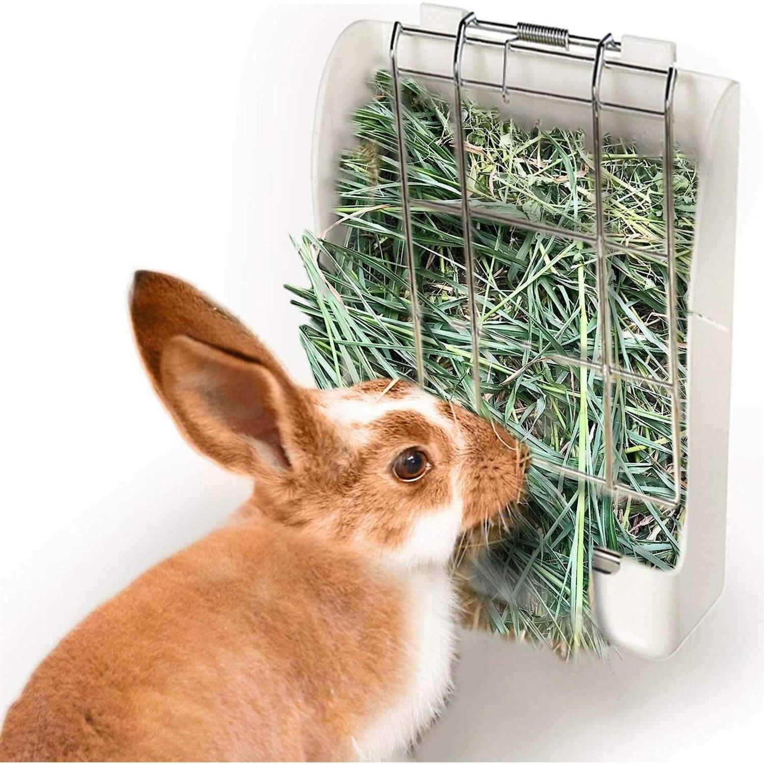 SunGrow Rabbit Bunny &amp; Guinea Pig Hay Feeder Rack Food Dispenser - Pet Supplies online store