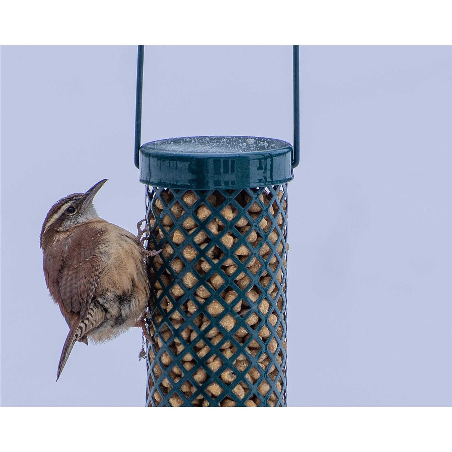 Peanut No-melt Suet Dough Nuggets for Birds G694443