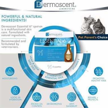 Essential 6 Spot-on for Cats O706