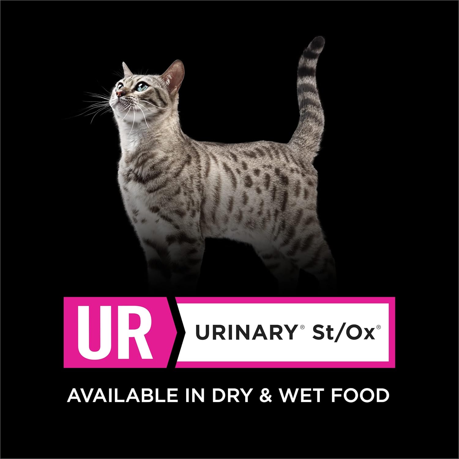 Urinary Care Wet Cat Food, 5.5 oz Cans (24 Pack) N524313
