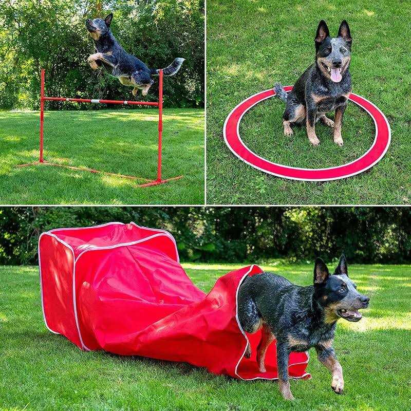 Dog Agility Training Kit 6 Piece E4133