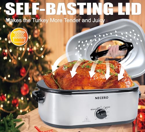 Electric Roaster Oven with Glass Lid and Removable Pan X813