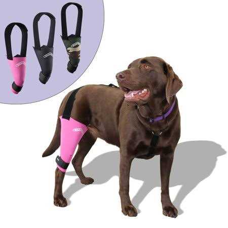 Dog & Cat Knee Brace X43960