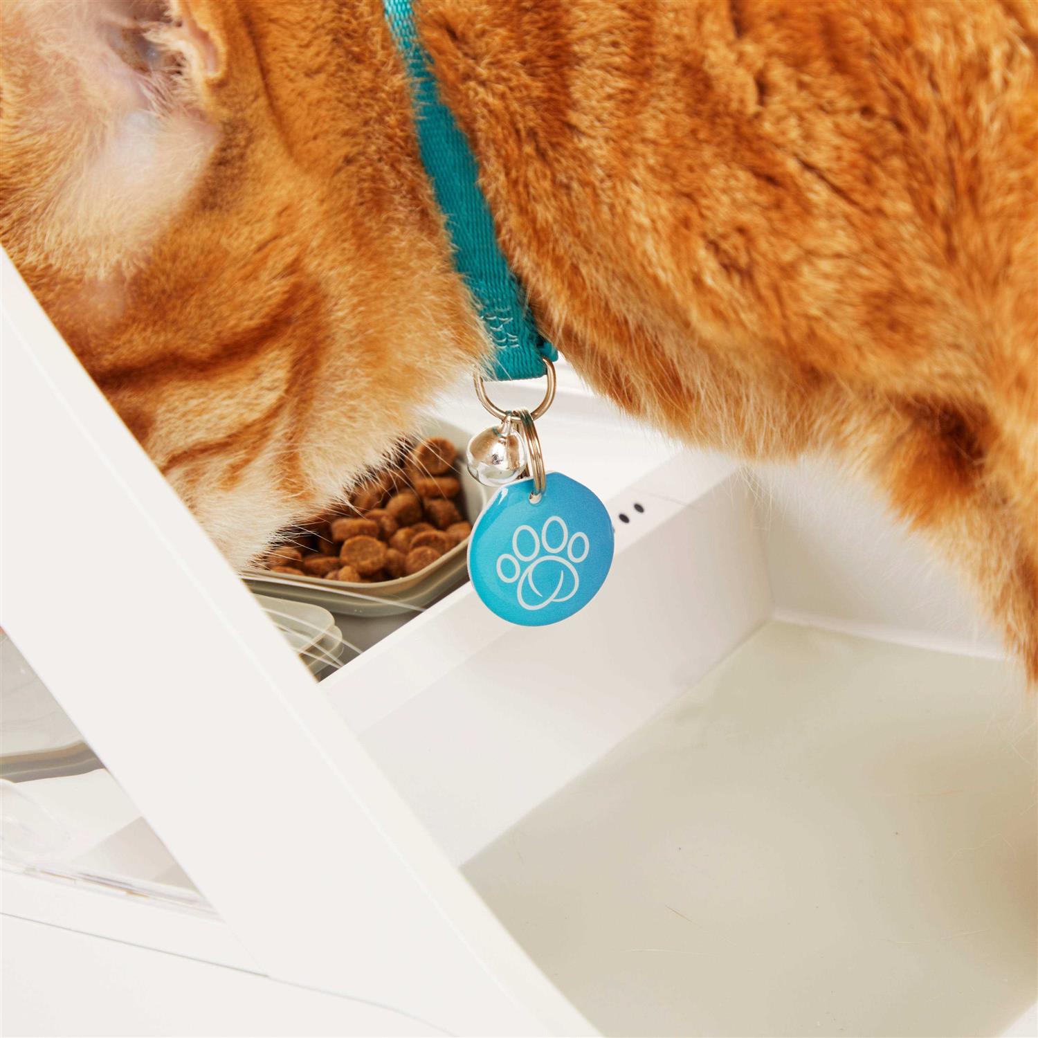 Microchip Pet Feeder Connect I164