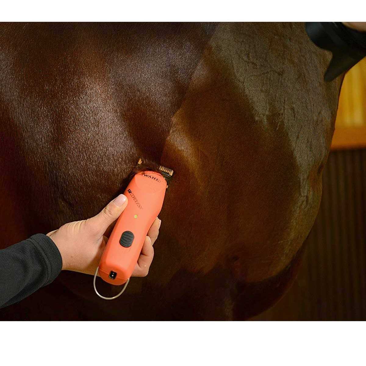 Cordless 2-Speed Pet Clipper O922
