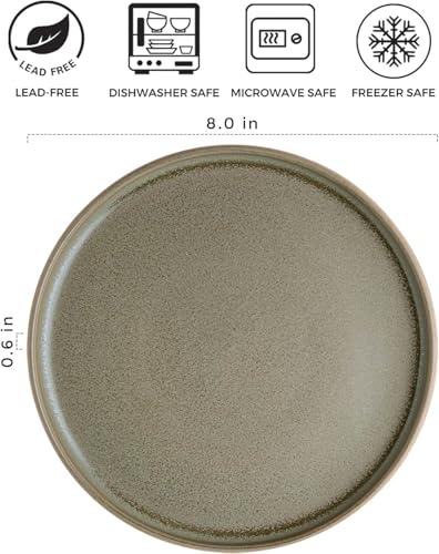 Stoneware Dinner Plates Set of 4, 10.25 Inch, Matte Glaze, Microwave and Dishwasher Safe C320815